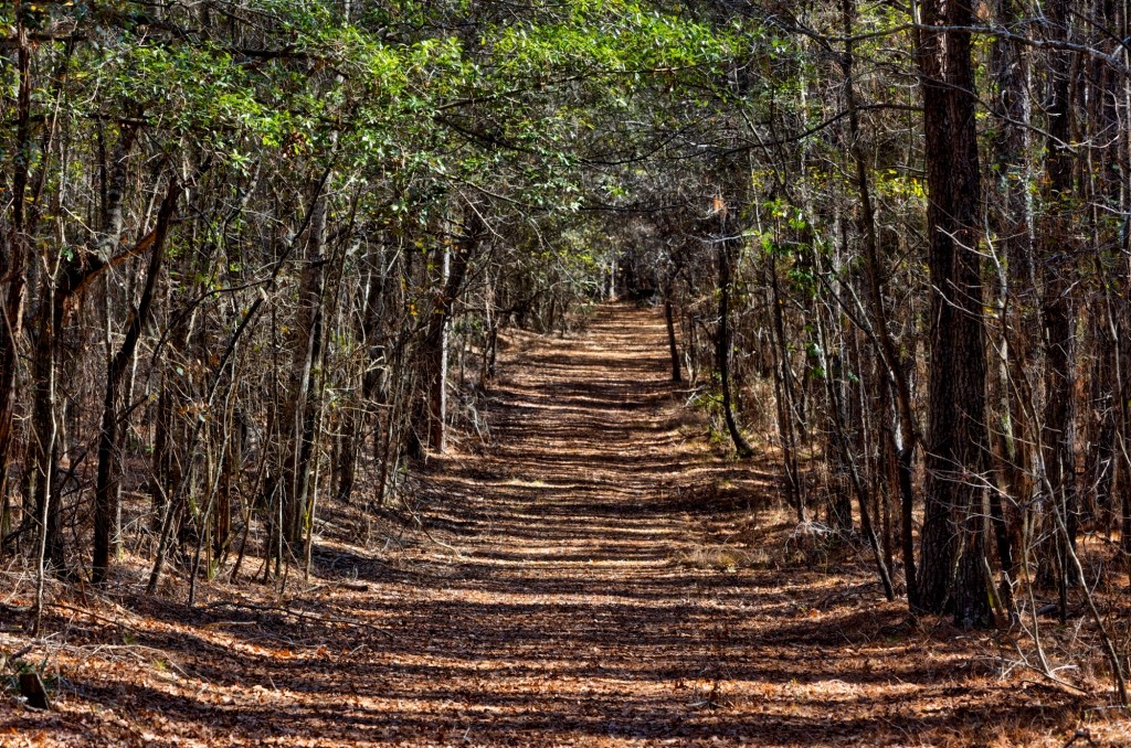 Lighter Knot Farm Photo