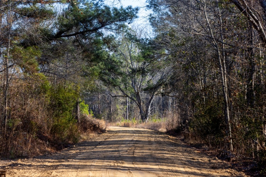 Richardson Creek Retreat Photo