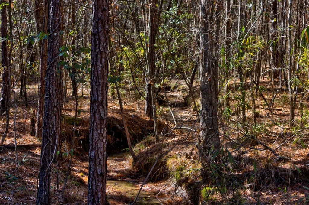 Lighter Knot Farm Photo