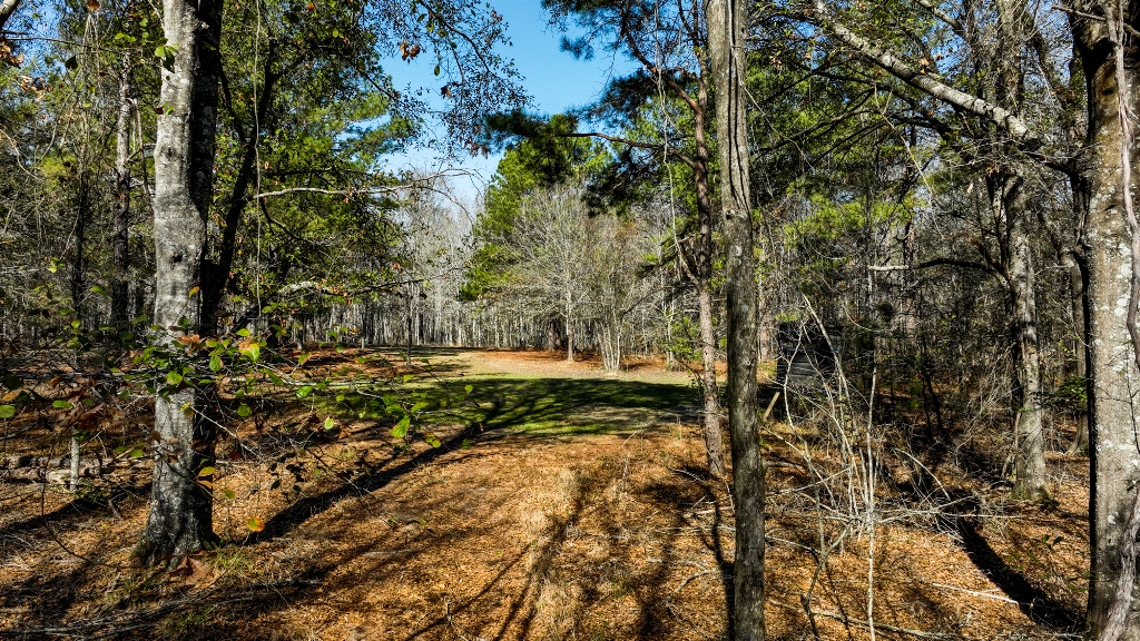 Richardson Creek Retreat – Tract 2 Photo