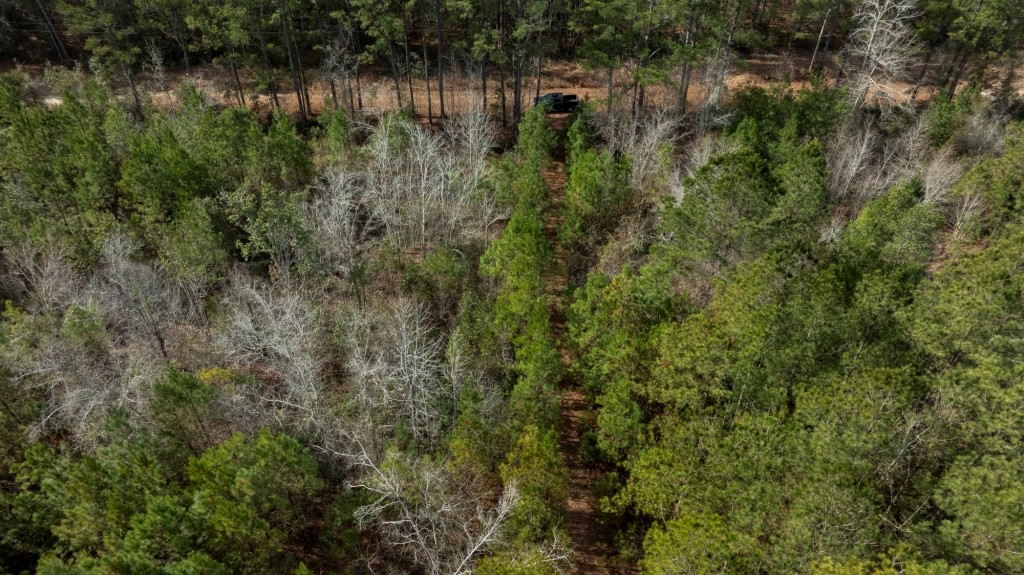 Bulloch Homeplace Photo