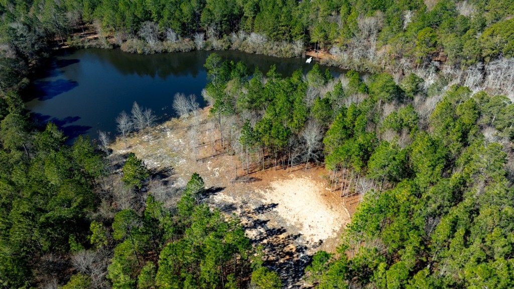 Sylvester Acres Photo