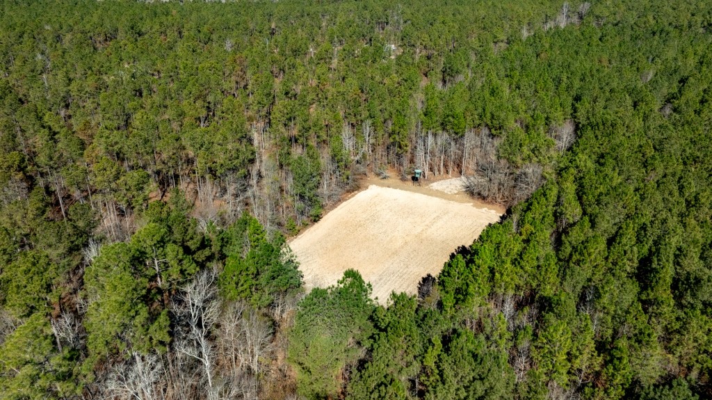 Lighter Knot Farm Photo