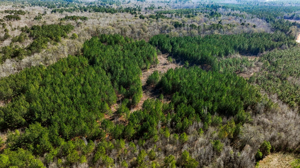 Richardson Creek Retreat – Tract 2 Photo