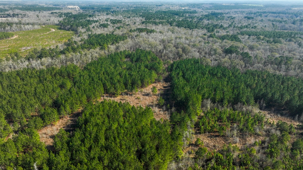 Richardson Creek Retreat Photo