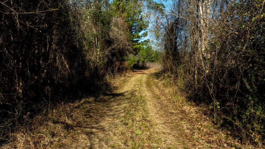 Richardson Creek Retreat Photo