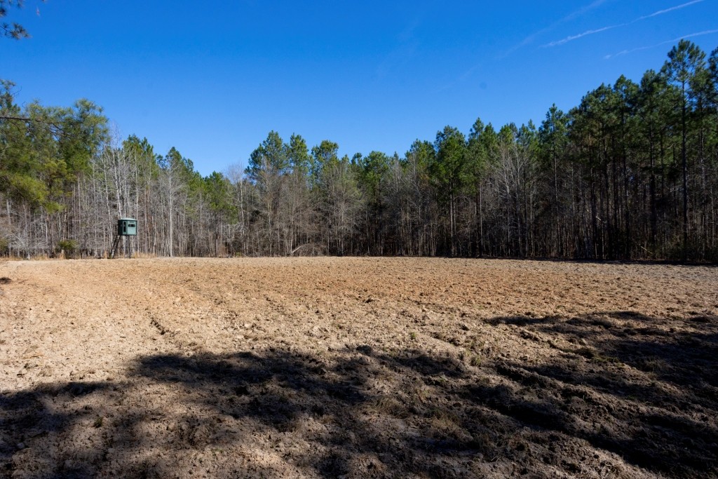 Lighter Knot Farm Photo