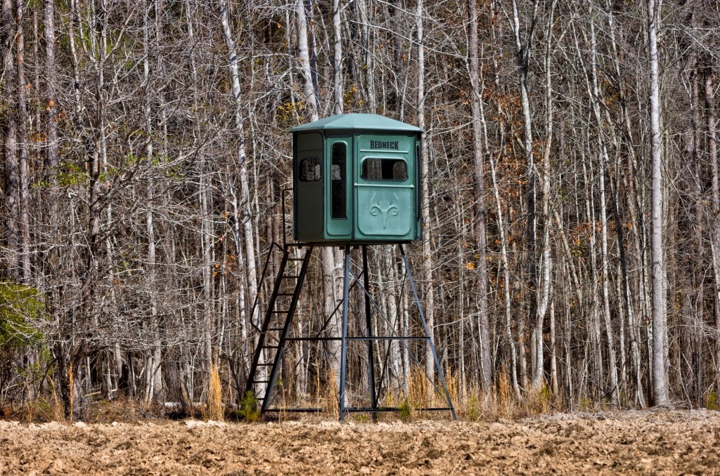Lighter Knot Farm Photo