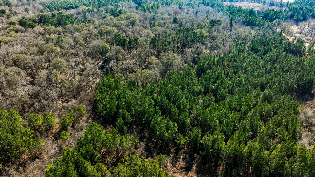 Richardson Creek Retreat – Tract 2 Photo