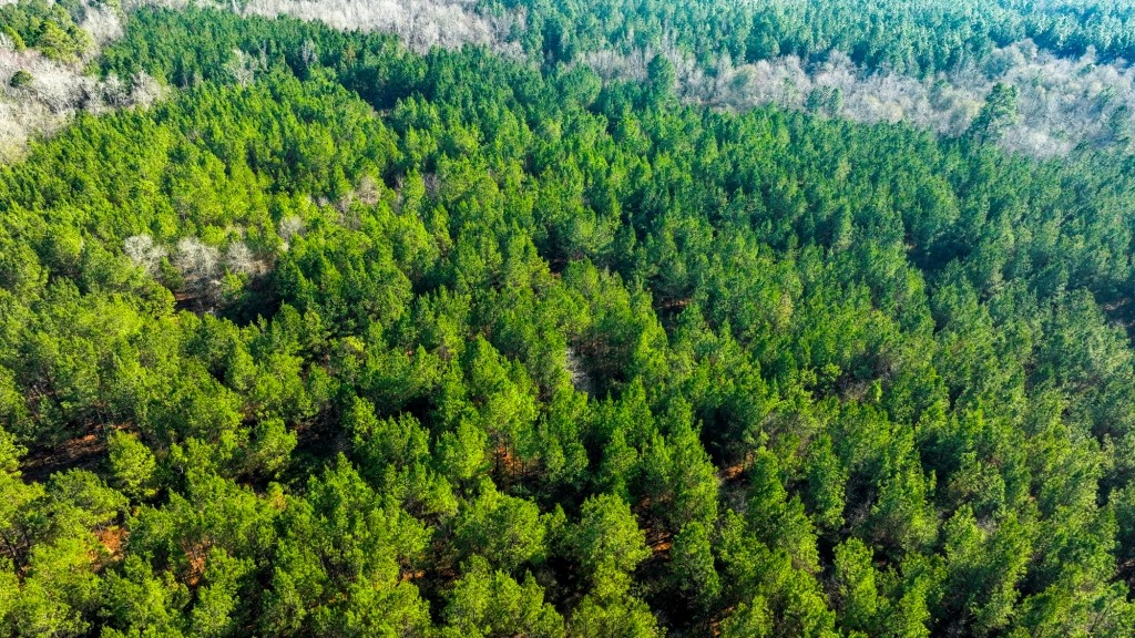 Richardson Creek Retreat Photo