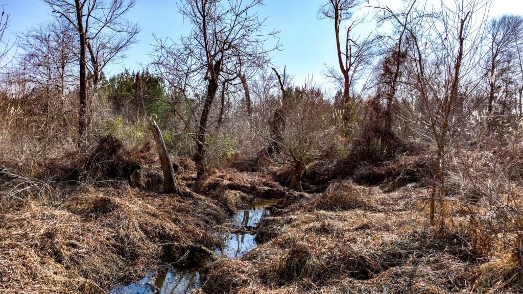 Richardson Creek Retreat – Tract 2 Photo