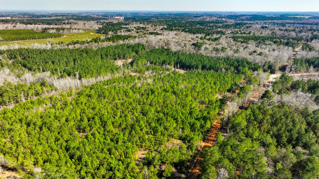 Richardson Creek Retreat Photo