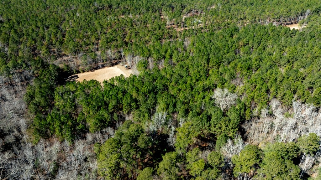 Lighter Knot Farm Photo