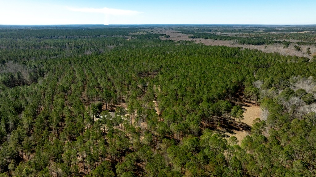 Lighter Knot Farm Photo