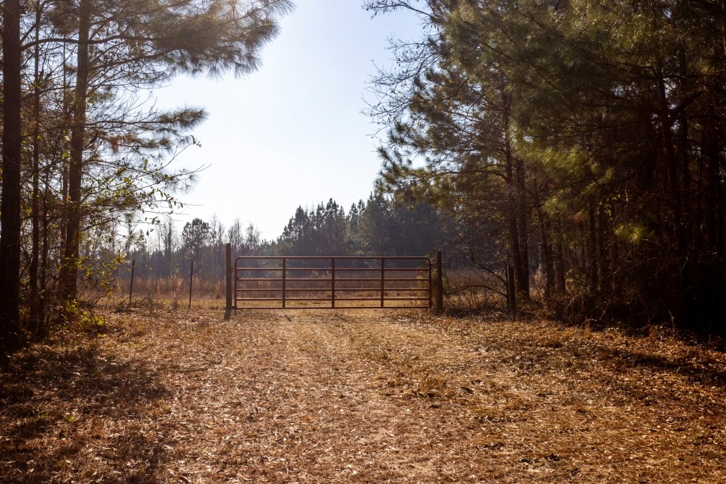 Richardson Creek Retreat – Tract 2 Photo