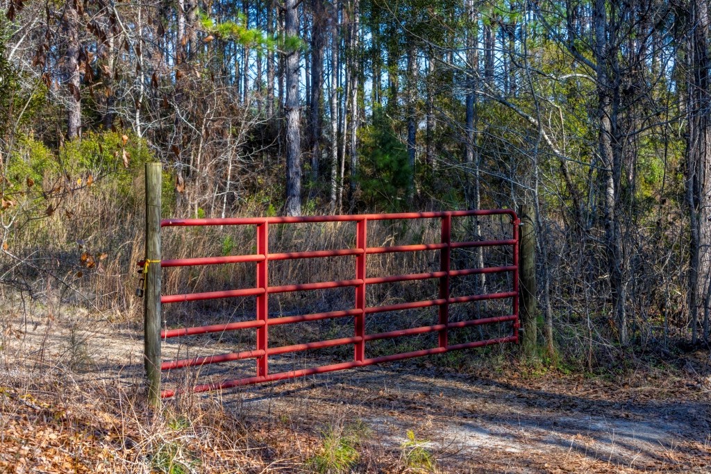 Richardson Creek Retreat Photo