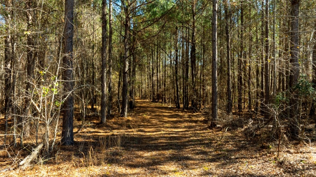 Lighter Knot Farm Photo
