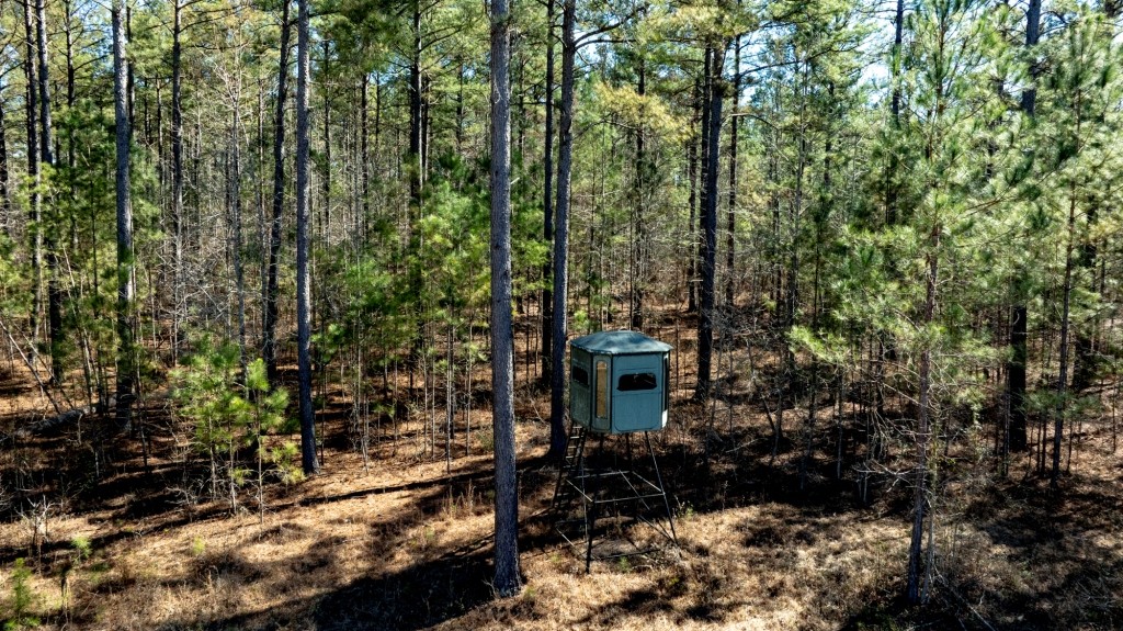 Lighter Knot Farm Photo
