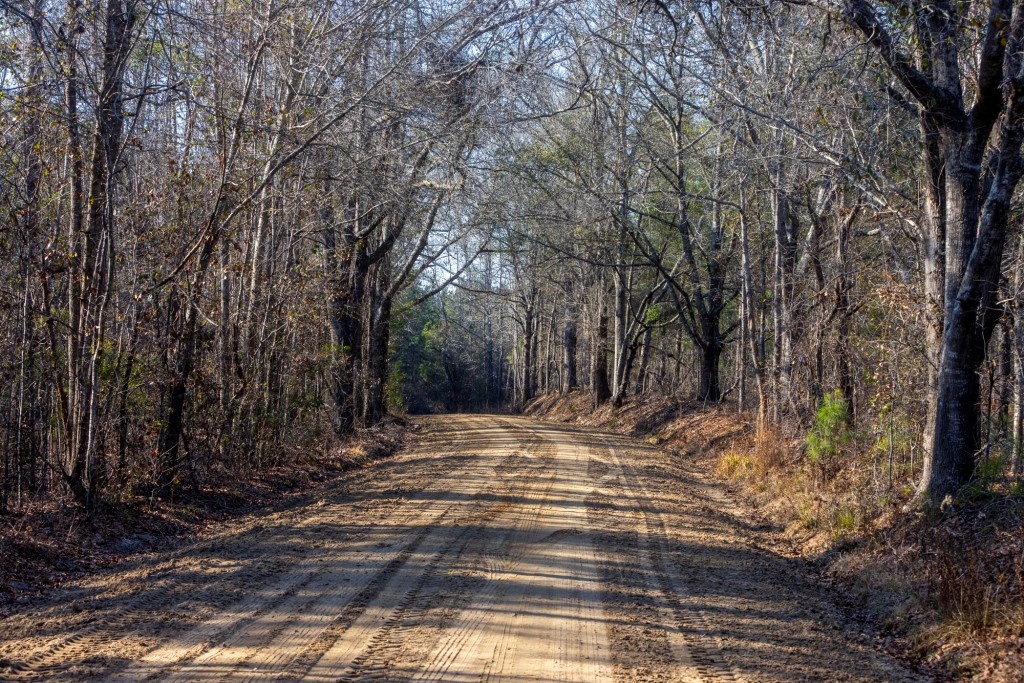 Richardson Creek Retreat – Tract 2 Photo