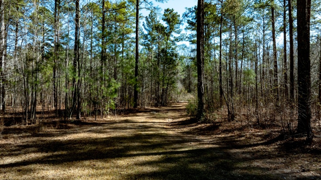 Lighter Knot Farm Photo
