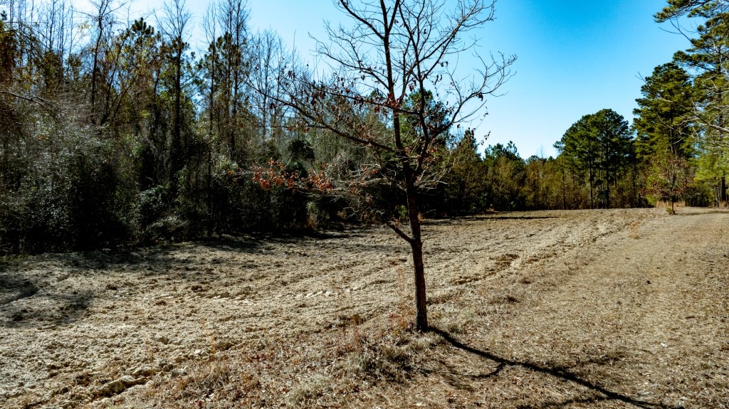 Lighter Knot Farm Photo