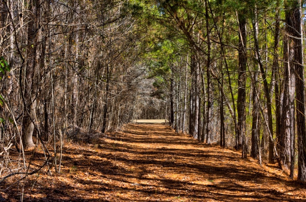 Lighter Knot Farm Photo