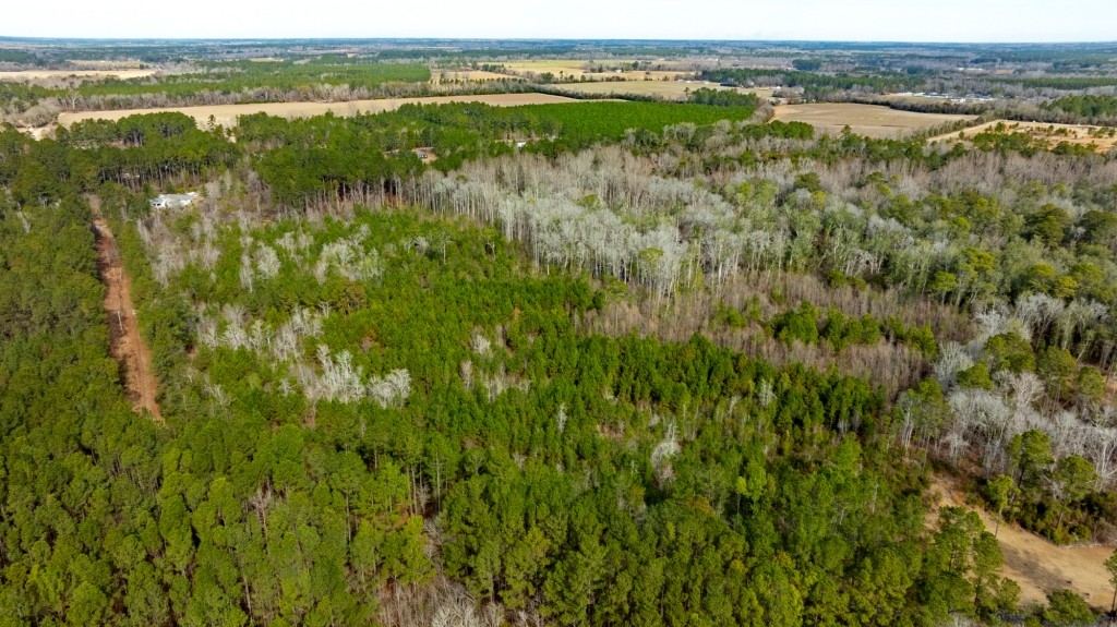 Bulloch Homeplace Photo