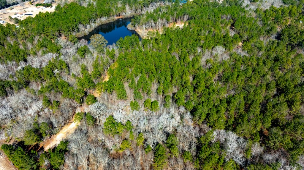 Sylvester Acres Photo