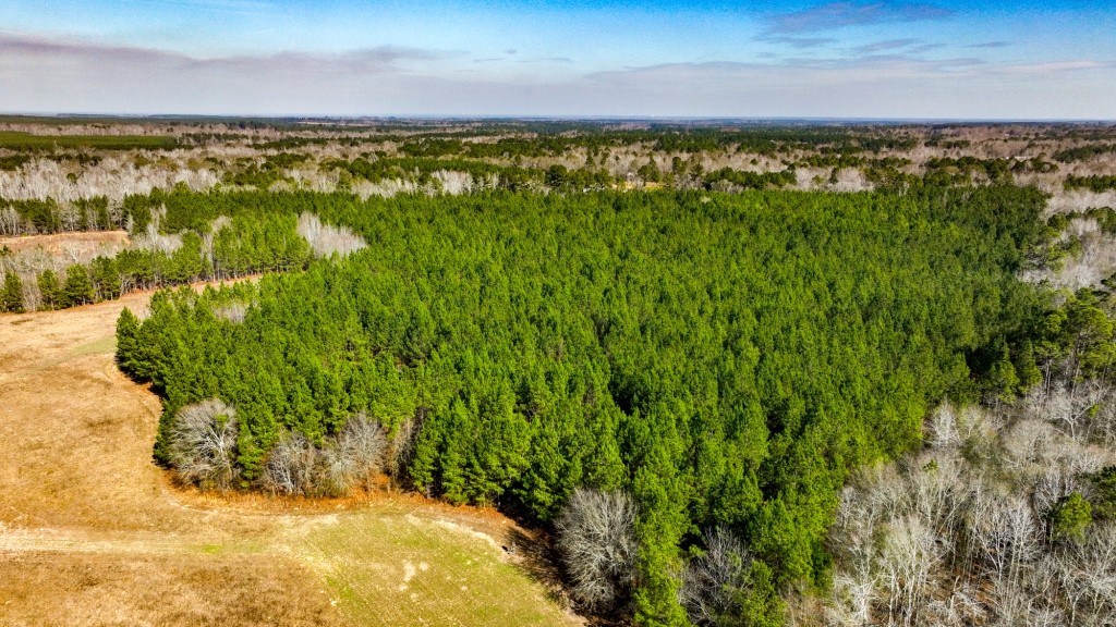 Richardson Creek Retreat Photo