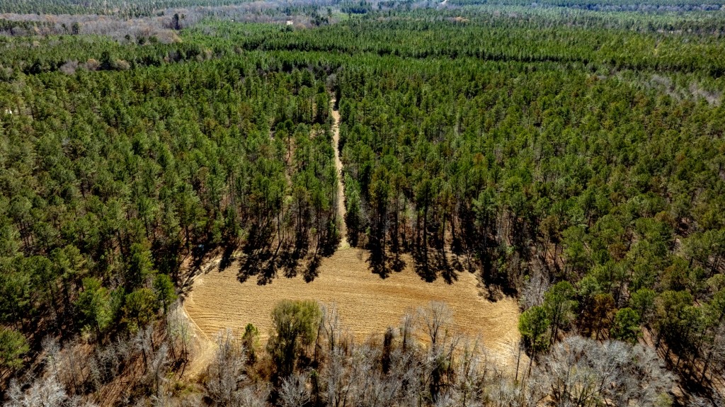 Lighter Knot Farm Photo