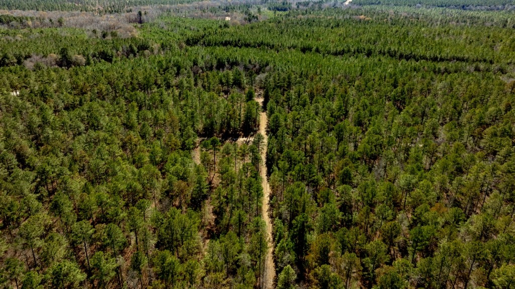 Lighter Knot Farm Photo
