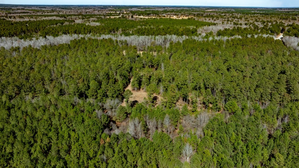 Lighter Knot Farm Photo