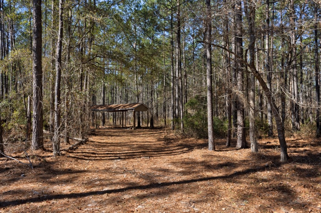 Lighter Knot Farm Photo