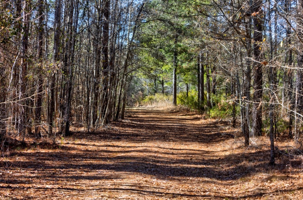 Lighter Knot Farm Photo