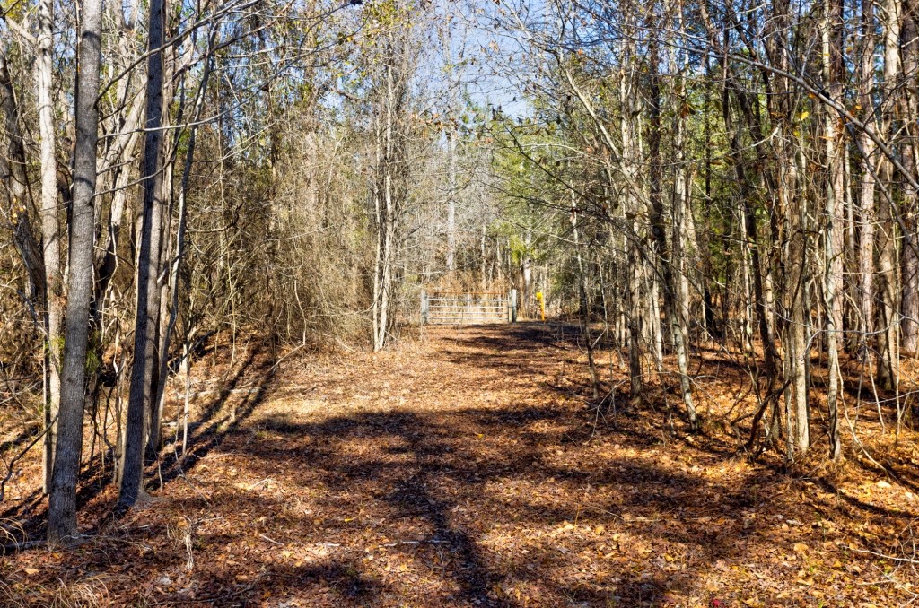 Lighter Knot Farm Photo