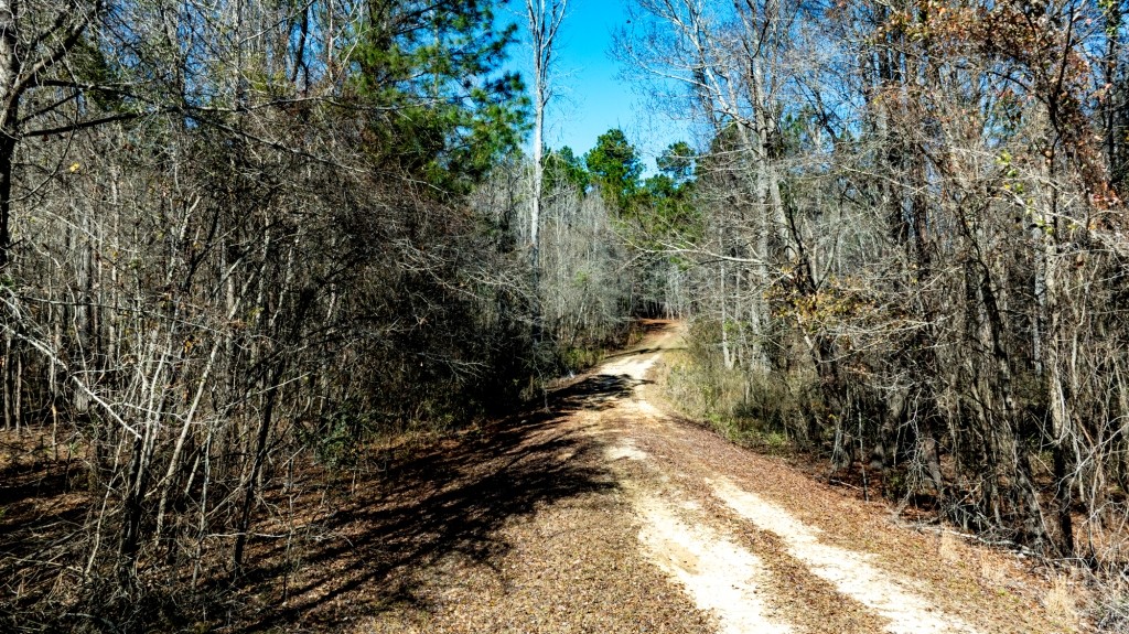 Lighter Knot Farm Photo