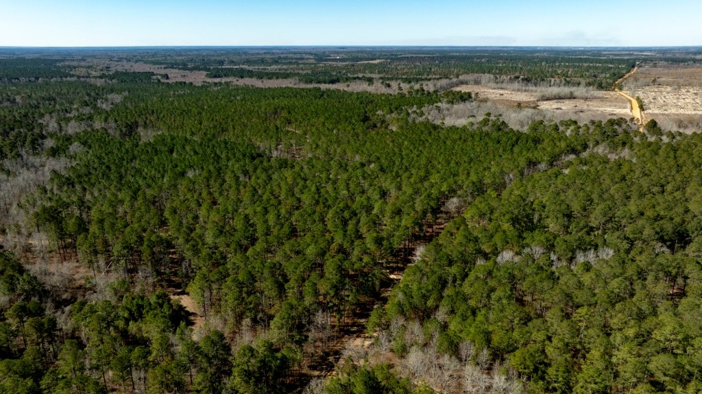 Lighter Knot Farm Photo