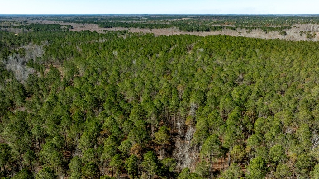 Lighter Knot Farm Photo