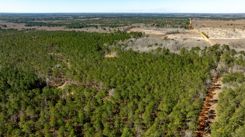Lighter Knot Farm Photo