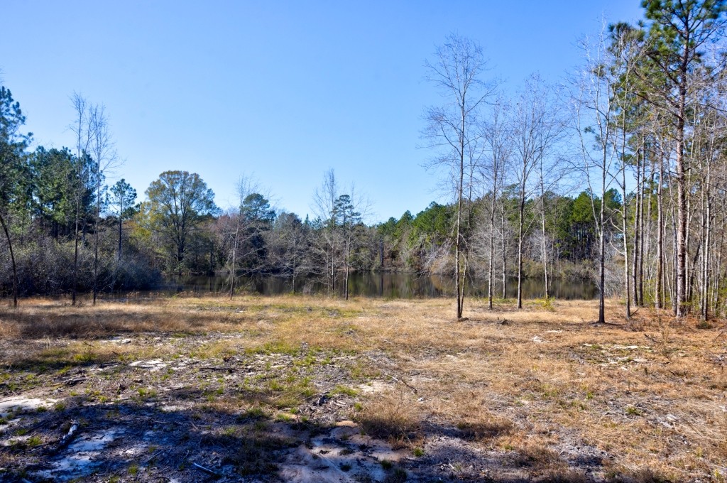 Sylvester Acres Photo