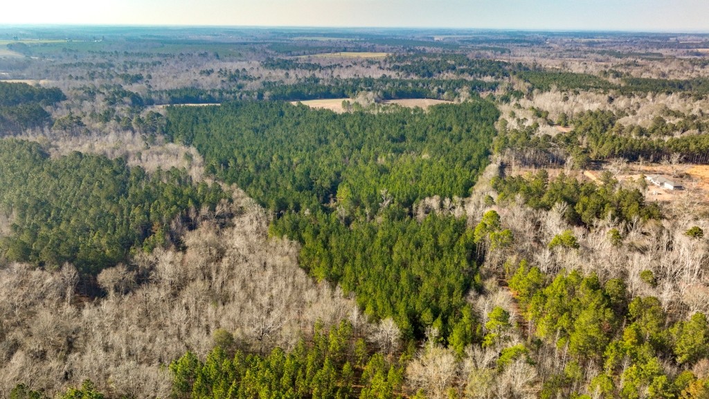 Richardson Creek Retreat Photo