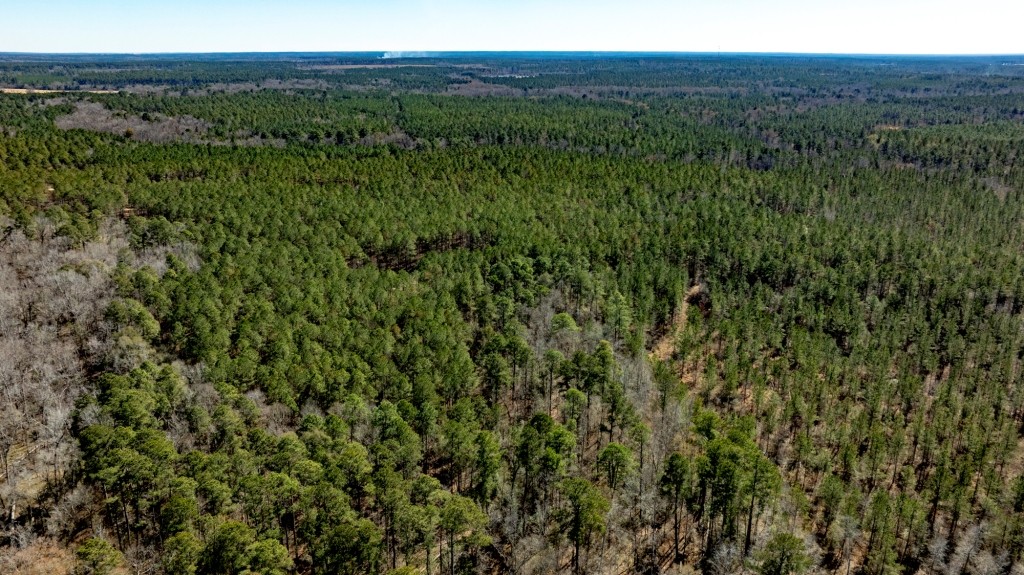Lighter Knot Farm Photo