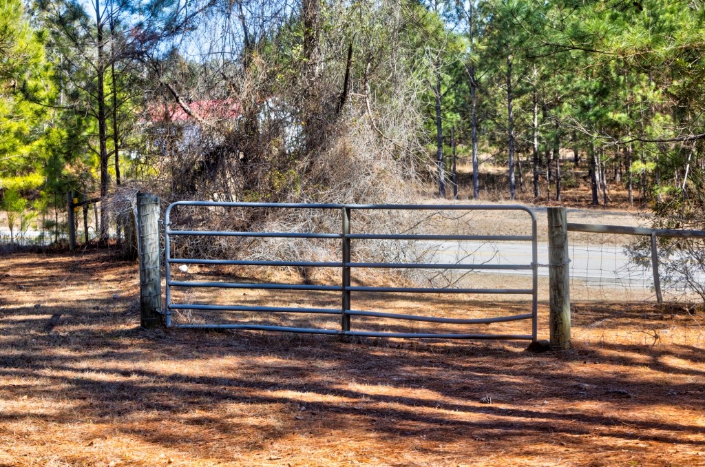 Lighter Knot Farm Photo