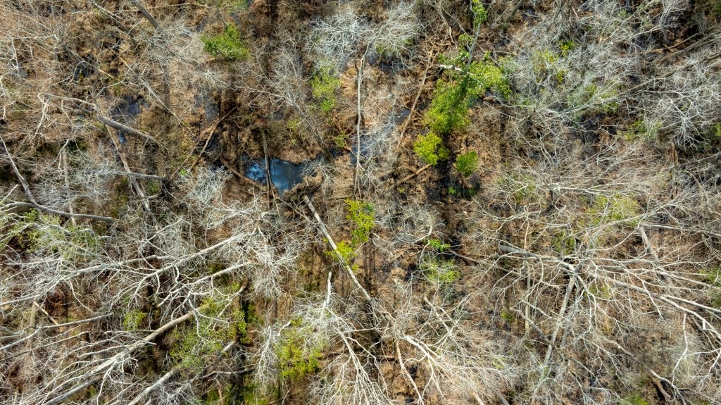 Bulloch Homeplace Photo