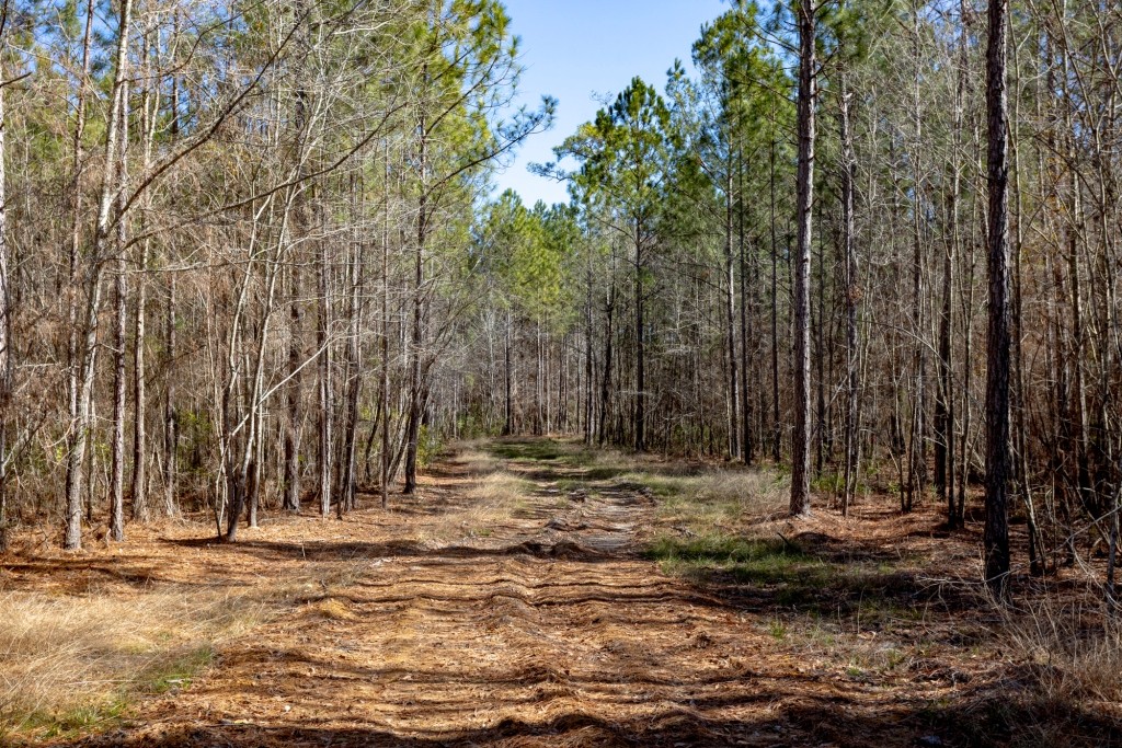 Sylvester Acres Photo