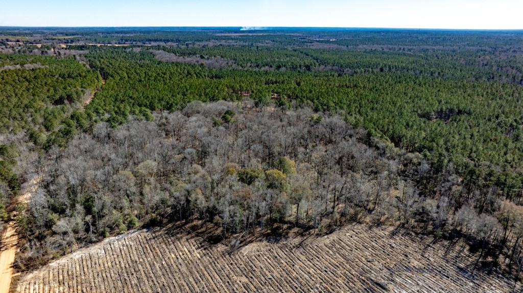 Lighter Knot Farm Photo