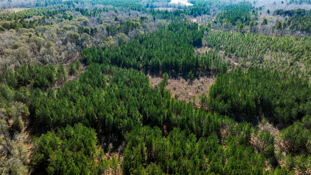 Richardson Creek Retreat – Tract 2 Photo