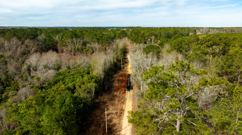 Bulloch Homeplace Photo