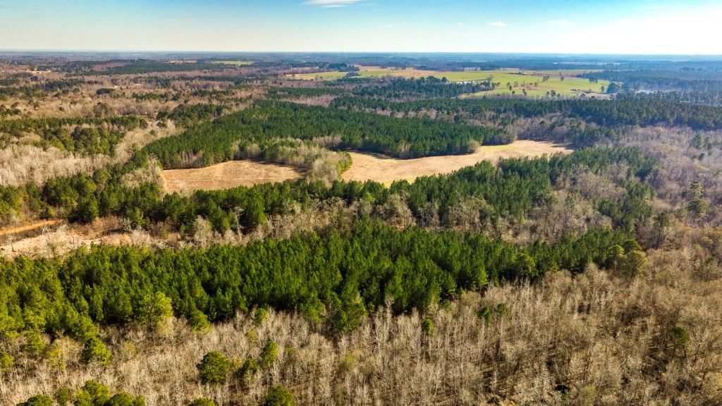 Richardson Creek Retreat Photo