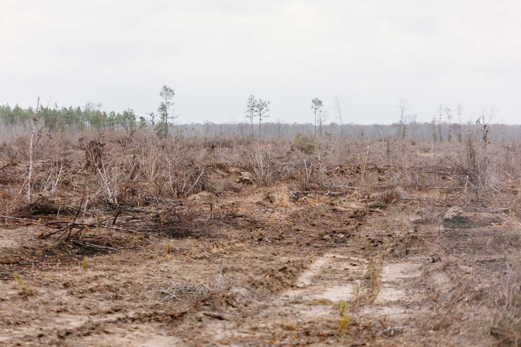 Bunn Store Road Homesite Photo